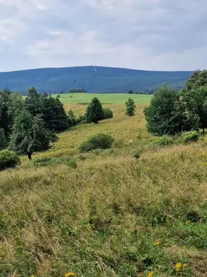 Przyroda w pobliżu tego domu w stylu alpejskim