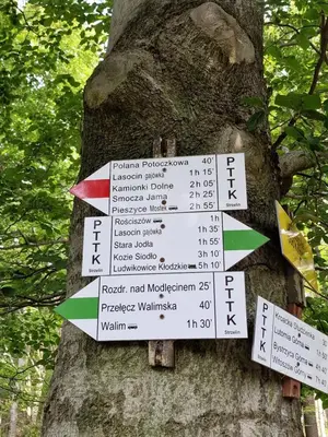 Certyfikat, podpis lub inny dokument wystawiony w obiekcie Nad Strumieniem