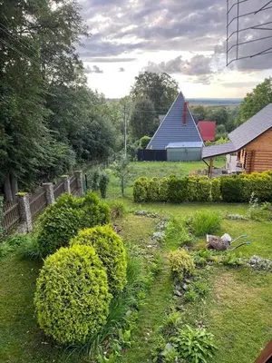 Ogród w obiekcie Chatka pod lasem