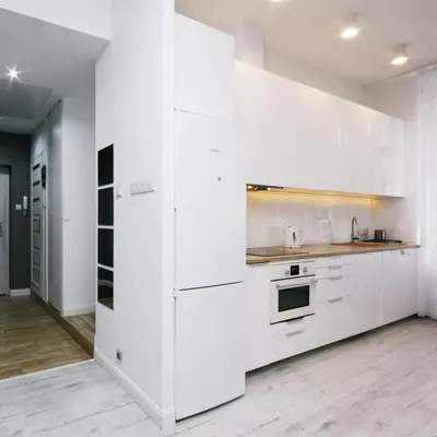 Kuchnia lub aneks kuchenny w obiekcie Apartament przy Palmiarni