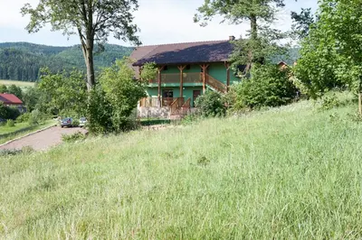 Przyroda w pobliżu tego gospodarstwa agroturystycznego