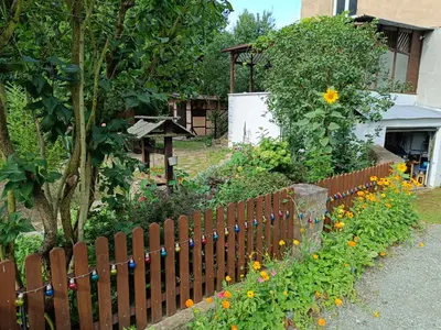 Ogród w obiekcie Pola Apartament Rodzinny
