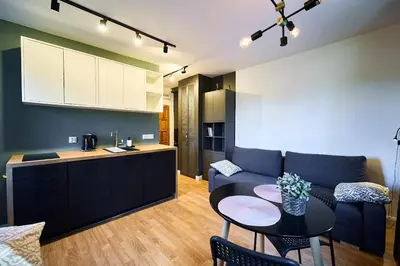 Kuchnia lub aneks kuchenny w obiekcie Marel-Apartament w parku Emma 6A Polanica Zdrój
