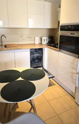 Kuchnia lub aneks kuchenny w obiekcie Apartament Tarnogórski