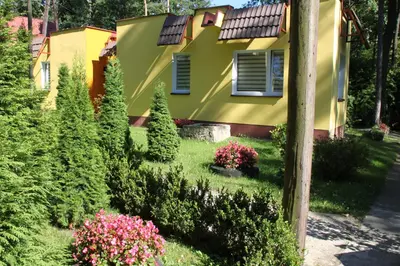 Ogród w obiekcie Hotel Zielony & OW Borowik & Pensjonat Manhattan - Centrum Rekreacji i Wypoczynku GASTROTUR