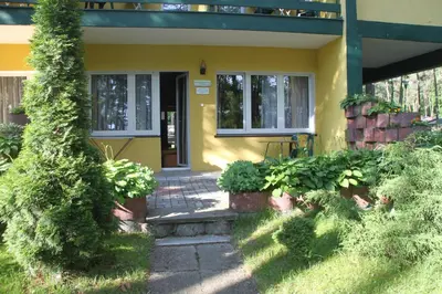 Ogród w obiekcie Hotel Zielony & OW Borowik & Pensjonat Manhattan - Centrum Rekreacji i Wypoczynku GASTROTUR