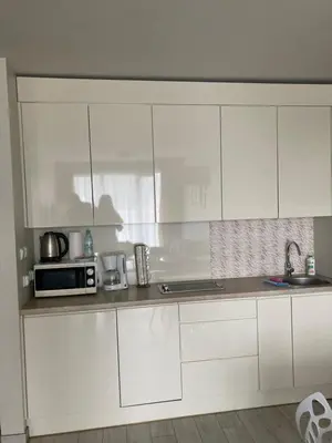 Kuchnia lub aneks kuchenny w obiekcie Apartament Czarna Góra