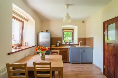 Kuchnia lub aneks kuchenny w obiekcie Apartament Wielka Sowa