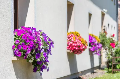 Ogród w obiekcie Apartament Wielka Sowa