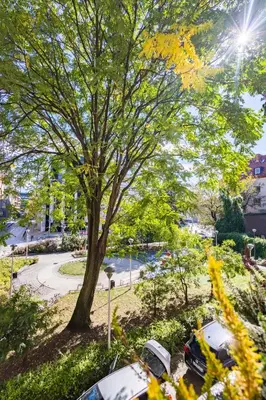 Ogród w obiekcie Świdnicka Deluxe Suite