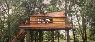 Plan piętra w obiekcie Tree Vill