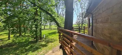 Ogród w obiekcie Tree Vill