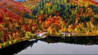 Przyroda w pobliżu tego obiektu B&B