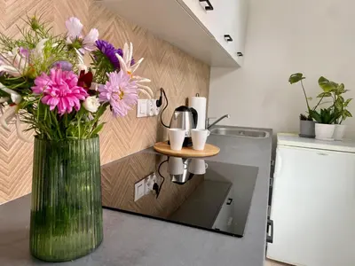 Kuchnia lub aneks kuchenny w obiekcie Studio Bielawa u podnóża Gór Sowich