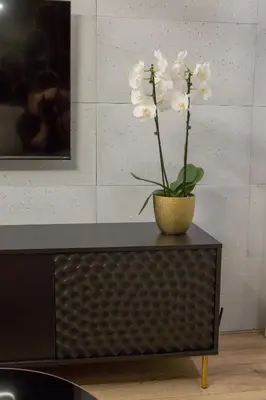 Plan piętra w obiekcie Apartament POSEJDON Gliwice