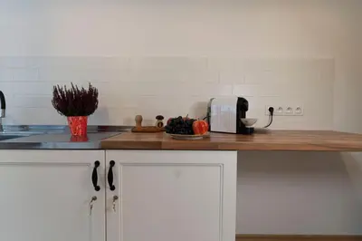 Kuchnia lub aneks kuchenny w obiekcie Apartament przy Czarnej Bramie