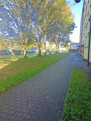 Ogród w obiekcie Apartament Zabrze Grzybowska