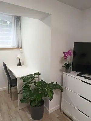 Telewizja i/lub zestaw kina domowego w obiekcie Urban Palace bezpłatne miejsce postojowe