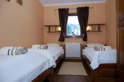 Łóżko lub łóżka w pokoju w obiekcie Chata Sudecka I apartamenty z aneksami kuchennymi