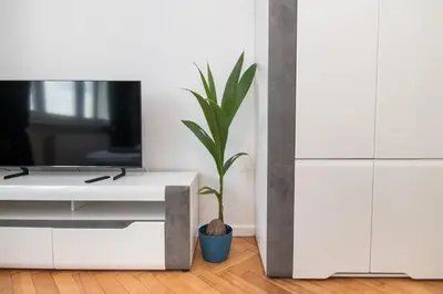Telewizja i/lub zestaw kina domowego w obiekcie Apartament Dworcowa 24