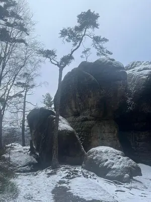 Przyroda w pobliżu tego apartamentu