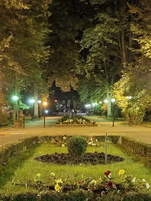 Ogród w obiekcie Ogrody Pieniawskie Apartament Paryski