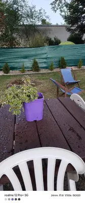 Widok na góry z tego apartamentu