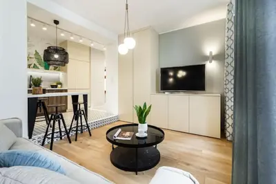 Telewizja i/lub zestaw kina domowego w obiekcie Stylowy apartament nad Odrą