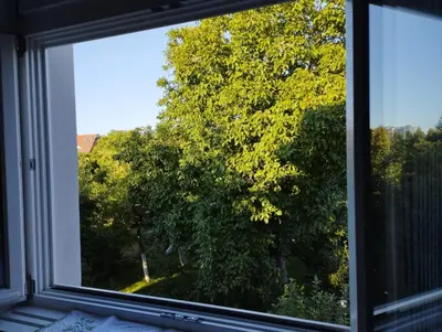 Przyroda w pobliżu tego apartamentu