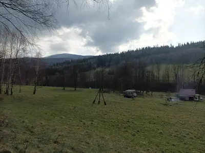 Przyroda w pobliżu tego apartamentu