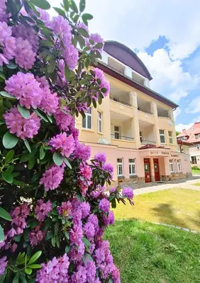 Ogród w obiekcie Willa Storczyk Polanica Zdrój