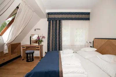 Łóżko lub łóżka w pokoju w obiekcie Villa Alina Medical SPA