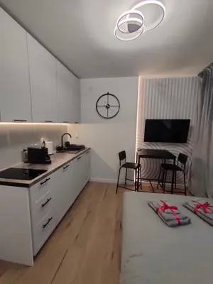 Kuchnia lub aneks kuchenny w obiekcie Slate Apartament Polanica - Zdrój