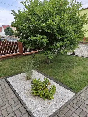 Ogród w obiekcie Dom Wakacyjny JM