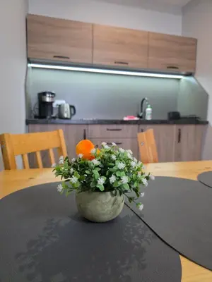 Kuchnia lub aneks kuchenny w obiekcie ApartHotel11