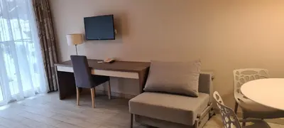 Telewizja i/lub zestaw kina domowego w obiekcie Apartamenty Czarna Góra T17