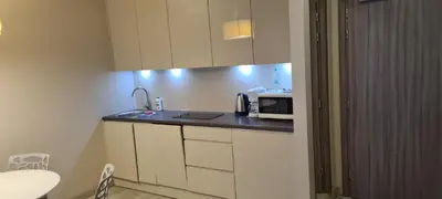 Kuchnia lub aneks kuchenny w obiekcie Apartamenty Czarna Góra T17
