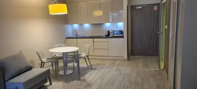 Kuchnia lub aneks kuchenny w obiekcie Apartamenty Czarna Góra T17