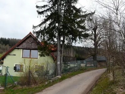 Przyroda w pobliżu tego apartamentu