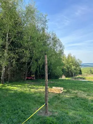 Przyroda w pobliżu tego domu w stylu alpejskim