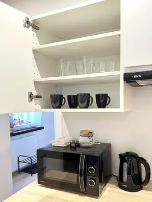 Kuchnia lub aneks kuchenny w obiekcie Apartament SASANKA