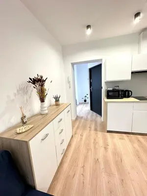 Kuchnia lub aneks kuchenny w obiekcie Apartament SASANKA