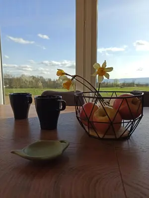 Przyroda w pobliżu tego domku letniskowego