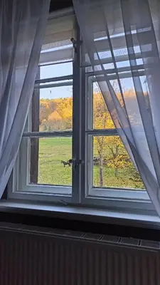 Przyroda w pobliżu tej kwatery prywatnej