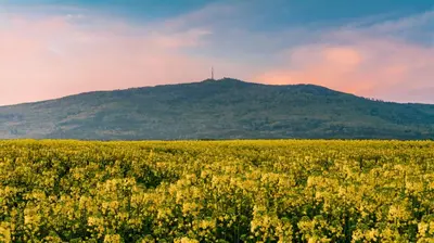 Widok na góry z tego apartamentu