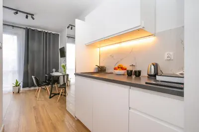 Kuchnia lub aneks kuchenny w obiekcie Apartamenty Piastowska