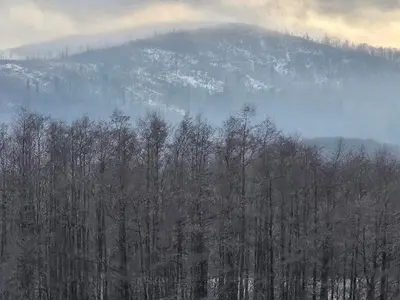 Widok na góry z tego obiektu B&B