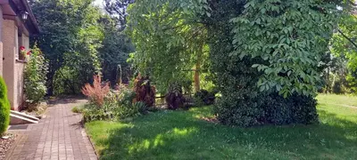 Ogród w obiekcie Apartament 2-pokojowy 55 m2, koło ZOO, Hali Stulecia