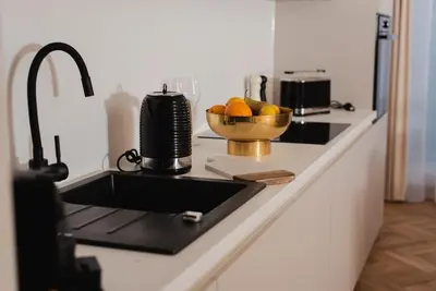 Kuchnia lub aneks kuchenny w obiekcie Gliwice Dickensa 36A Condo