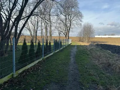 Przyroda w pobliżu tego apartamentu